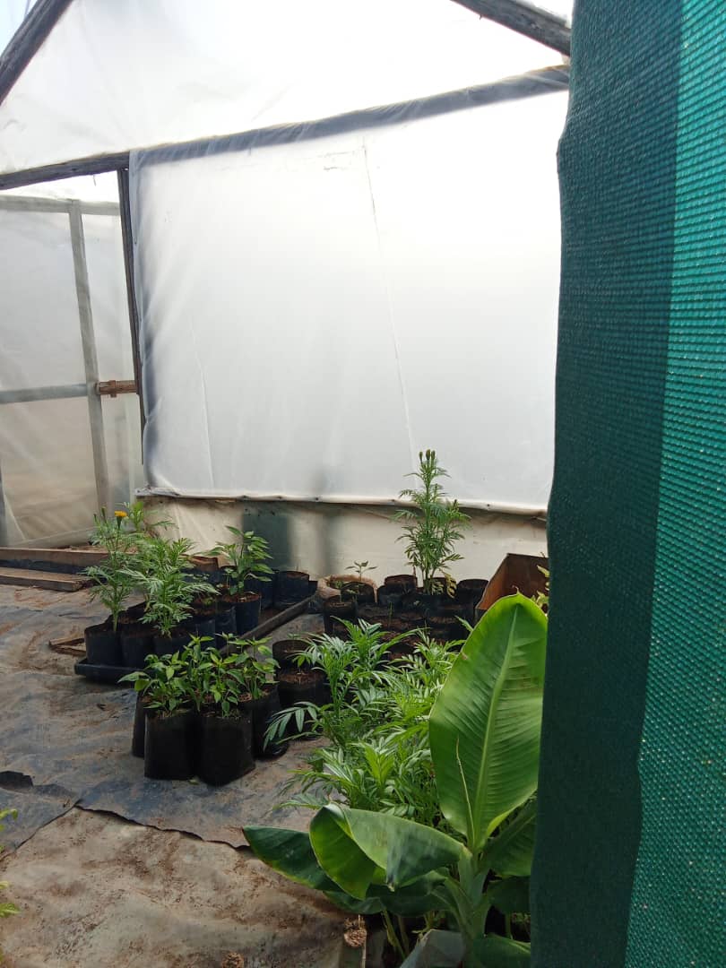 Ecosystem Practice & Nursery Development