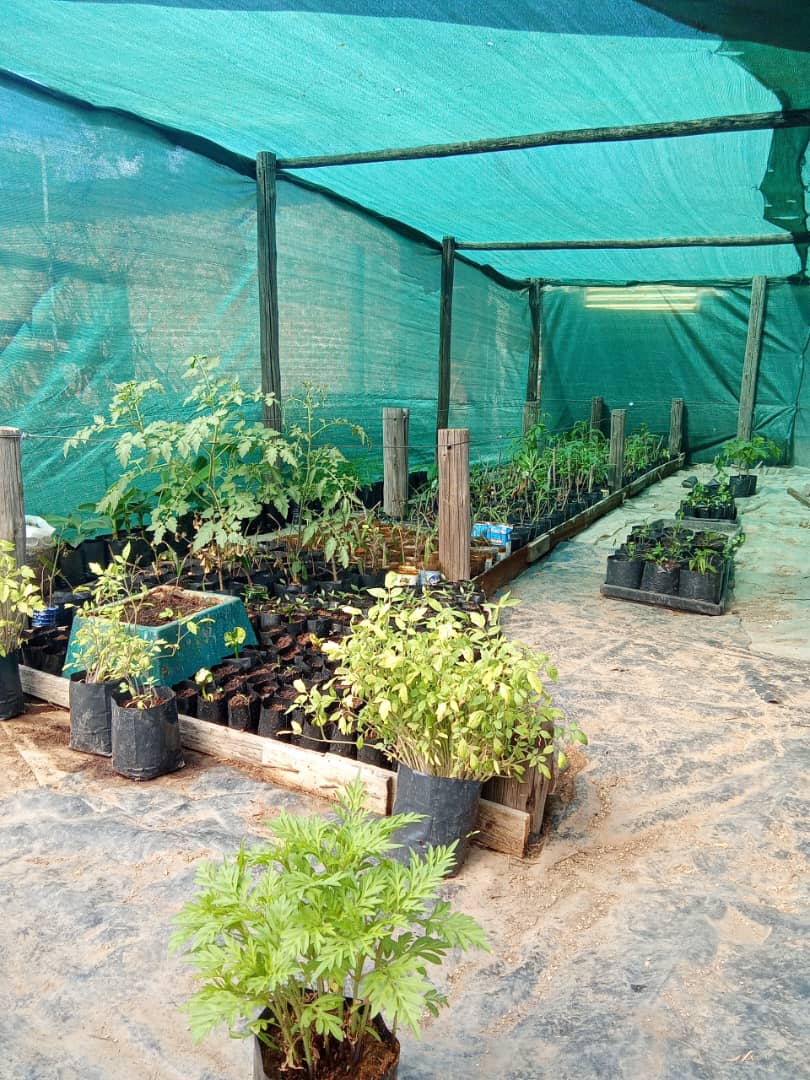 NeVhu Sustainable Crop Production